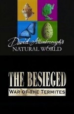 BBC: Наедине с природой: В осаде-война термитов