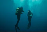 Сцена из фильма Подводный капкан / The Dive (2023) 
