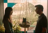 Сцена из фильма Я — кот / Cicaverzum (2023) 