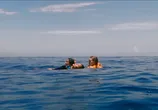 Сцена из фильма Открытое море: Игра на выживание / Dead Sea (2024) 