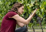 Сцена из фильма Осень в винограднике / Autumn in the Vineyard (2016) 