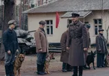 Фильм Пёс рыжий / Red Dog (2016) - cцена 2